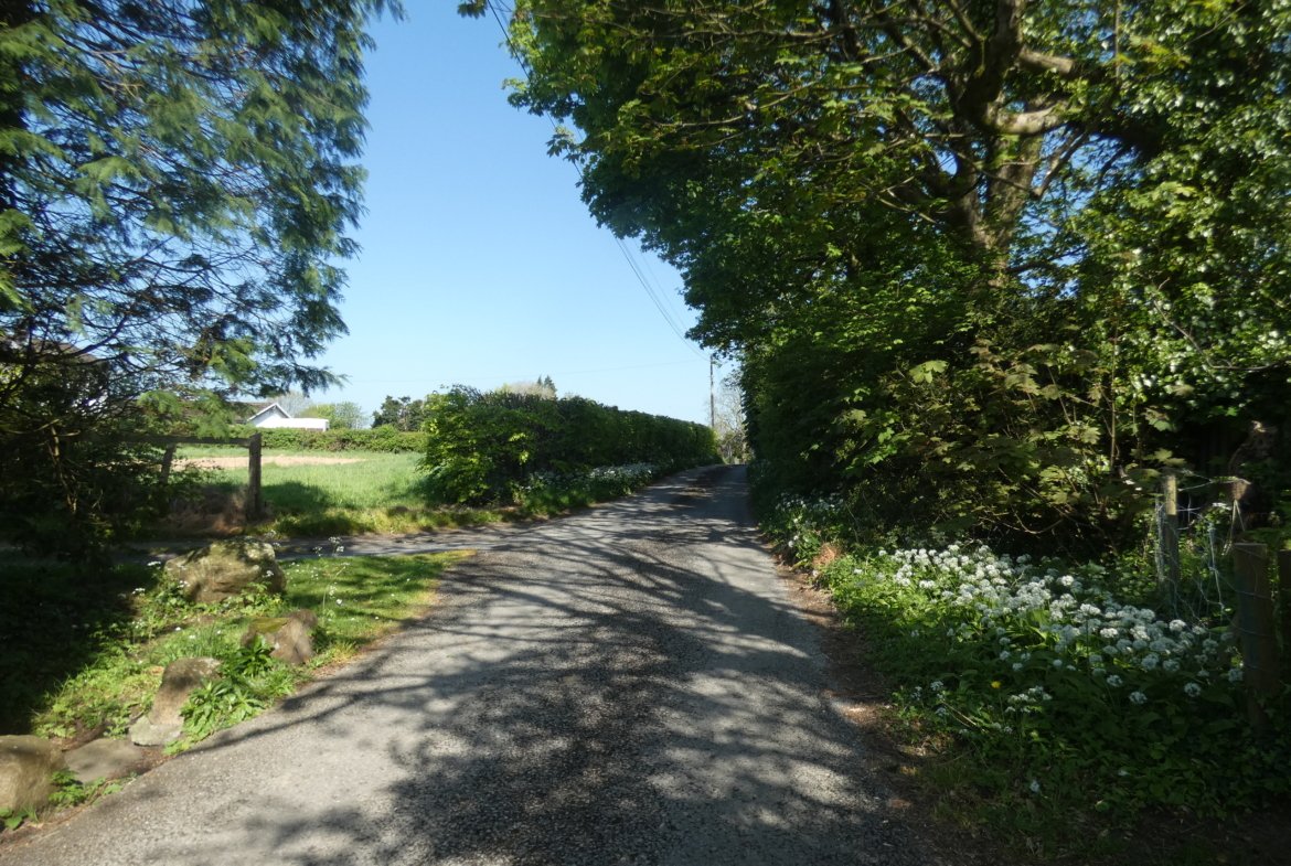 Herberts Lodge – Elegant Historical Home with Private Grounds (To Let)