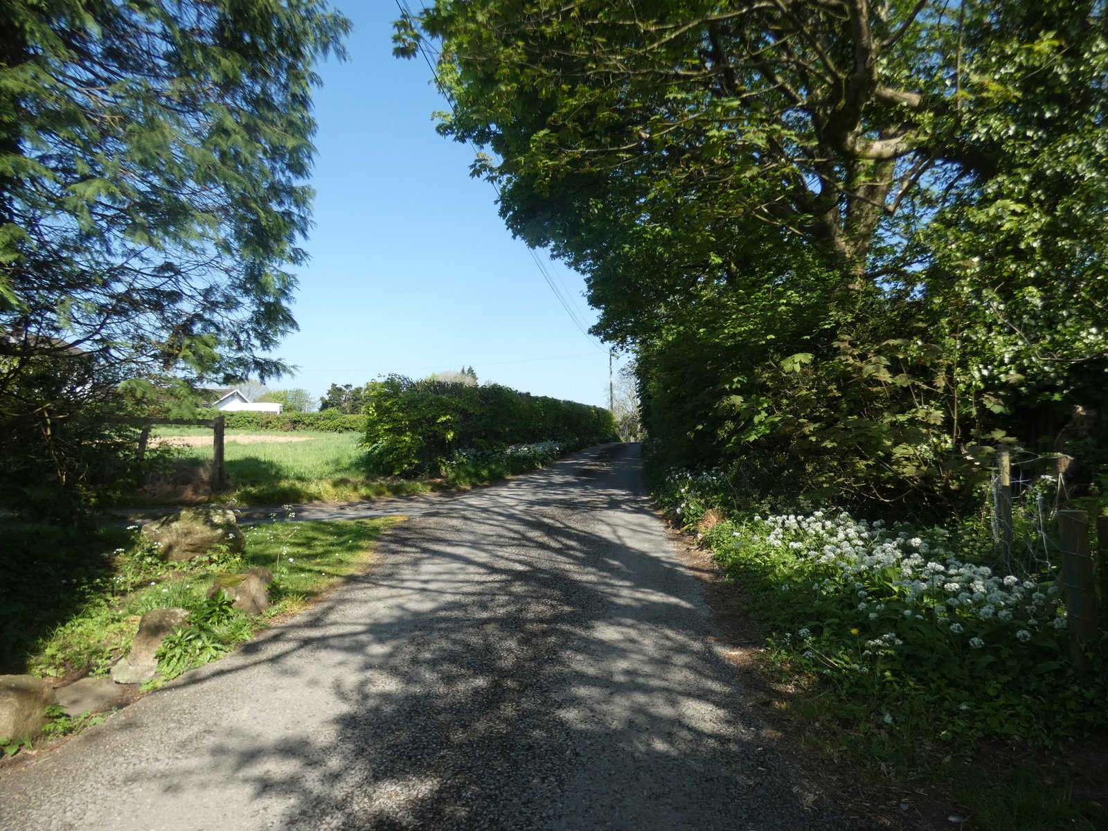 Herberts Lodge – Elegant Historical Home with Private Grounds (To Let)